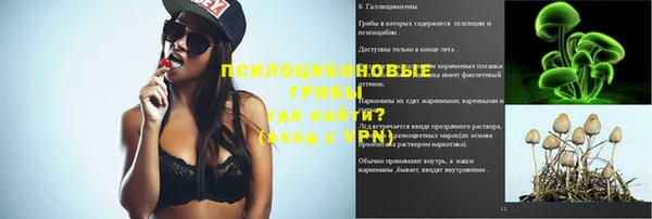 ГАЛЛЮЦИНОГЕННЫЕ ГРИБЫ Ельня