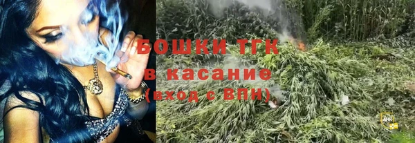 ГАЛЛЮЦИНОГЕННЫЕ ГРИБЫ Ельня
