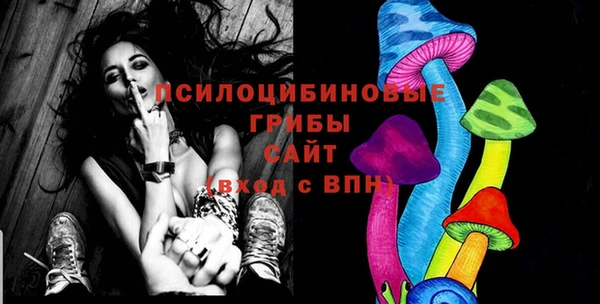 ECSTASY Алексеевка